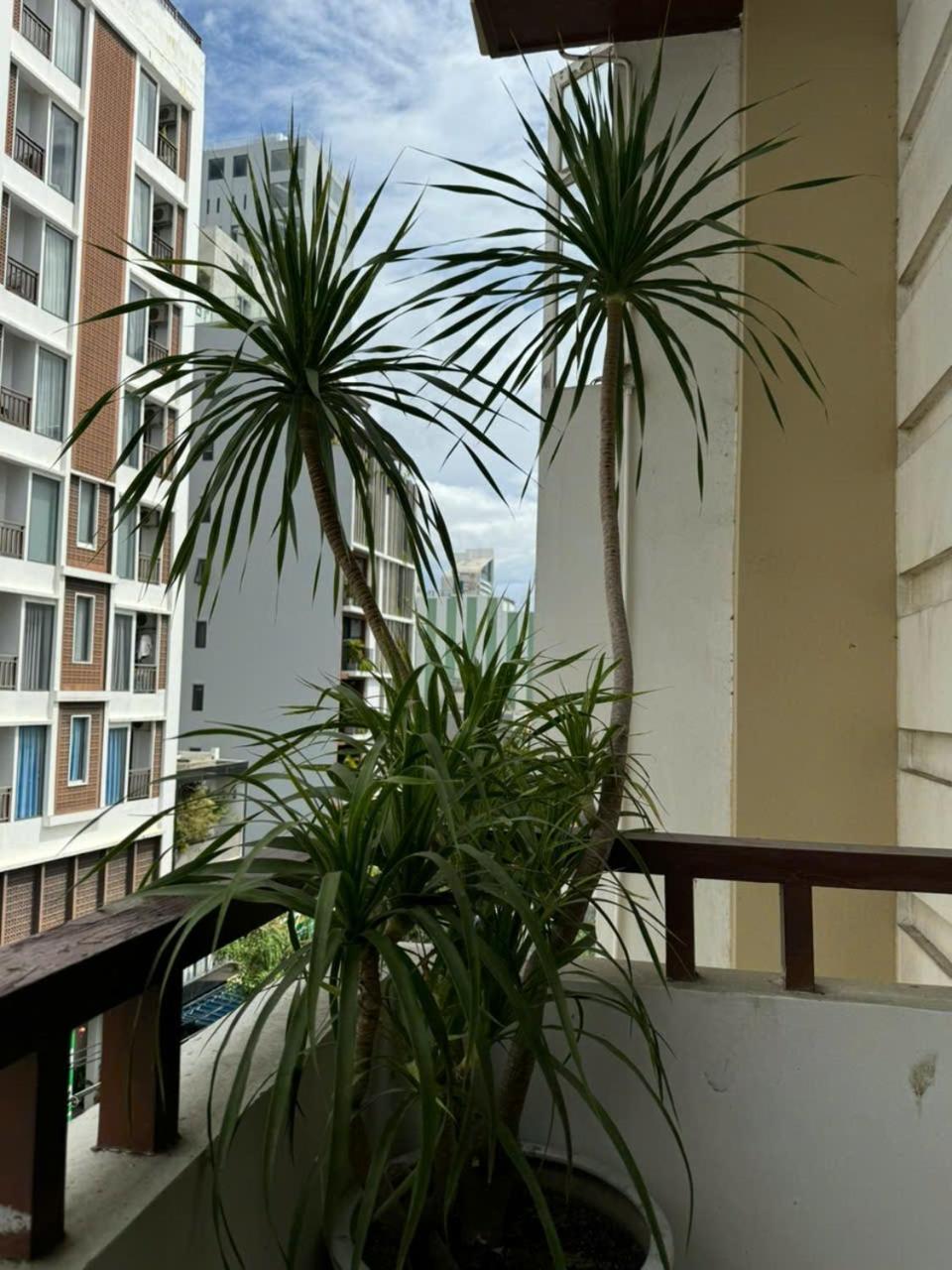 Thanh Hien Hb Hotel ดานัง ภายนอก รูปภาพ