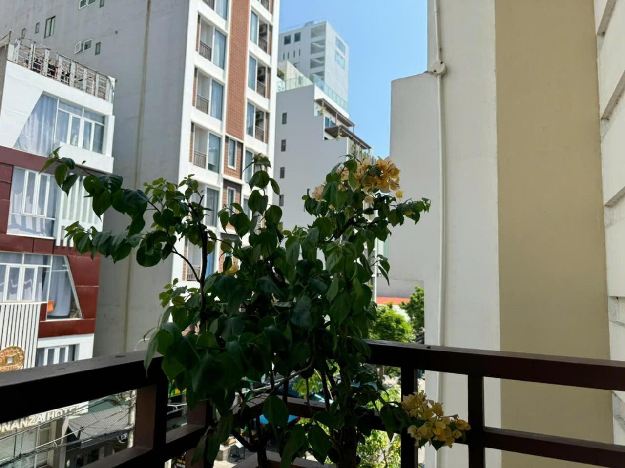 Thanh Hien Hb Hotel ดานัง ภายนอก รูปภาพ